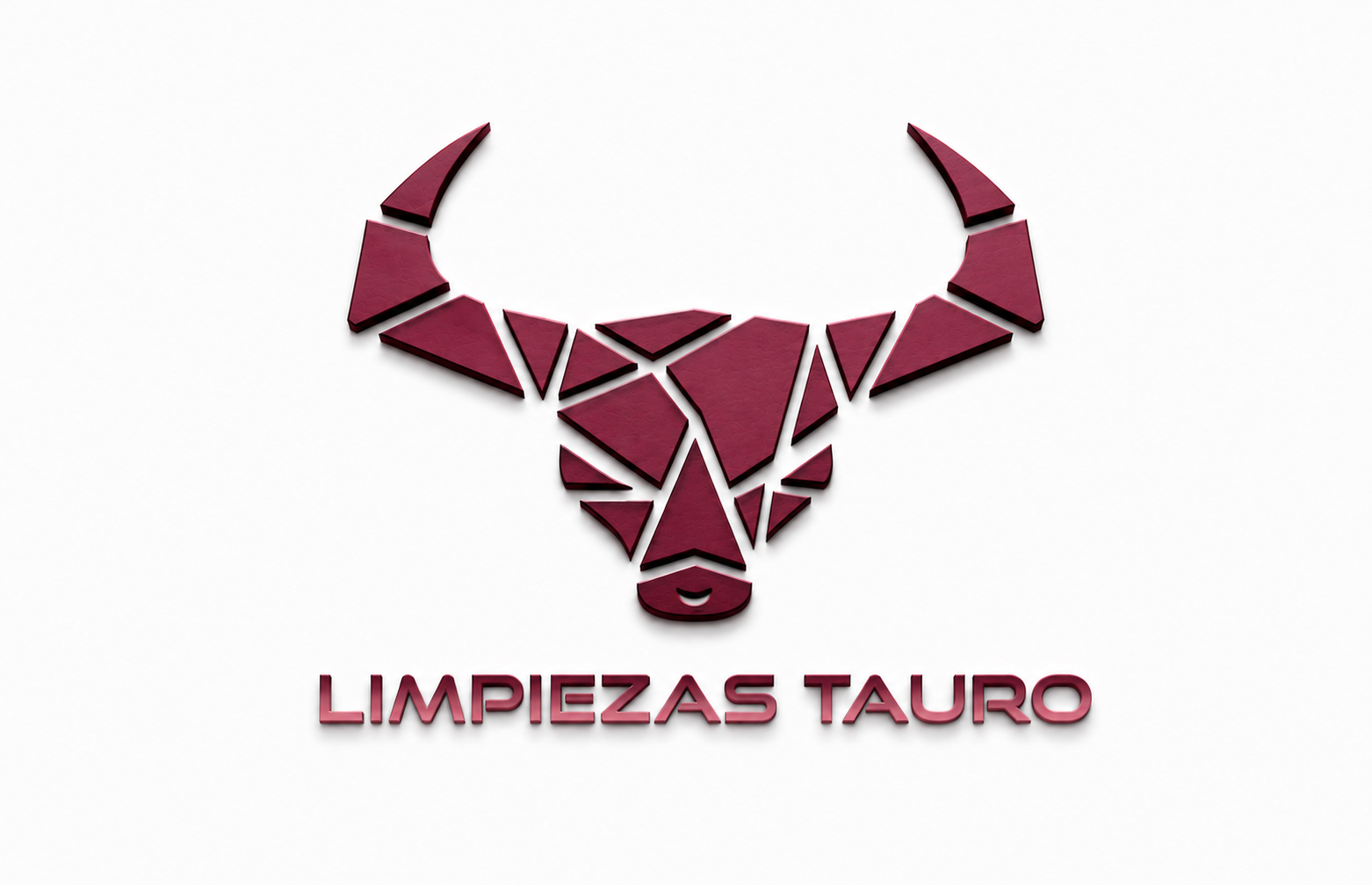 Limpiezas Tauro, empresa de limpieza en Vigo y alrededores